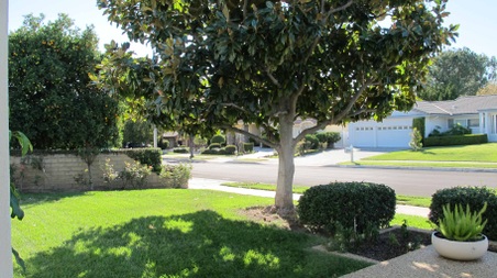 Enlarge photo 38
