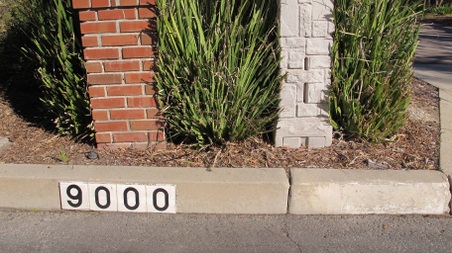 5874