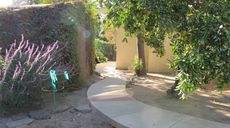 Enlarge photo 46