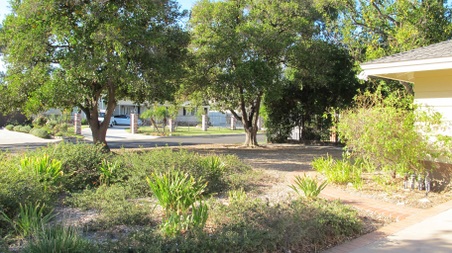 Enlarge photo 59