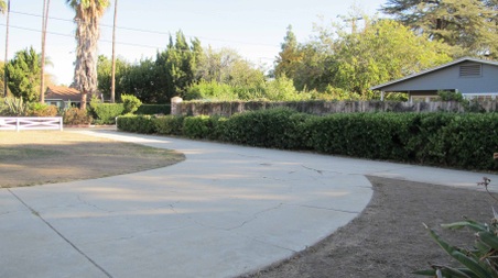 Enlarge photo 18