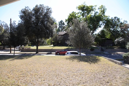 Enlarge photo 51