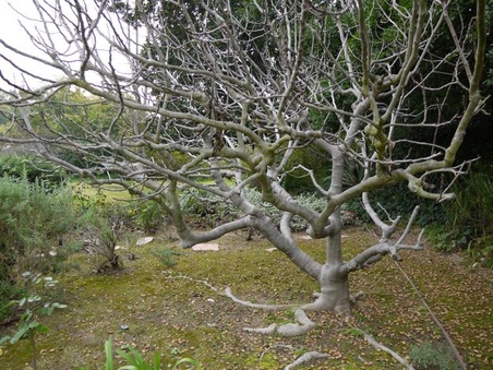 Enlarge photo 35