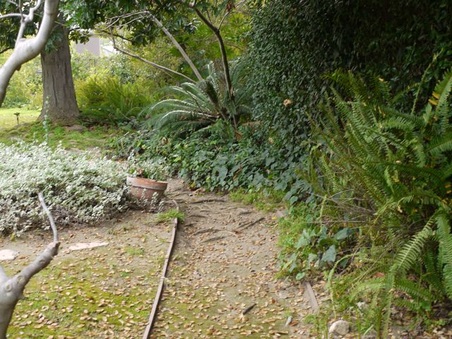 Enlarge photo 37