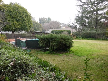 Enlarge photo 38