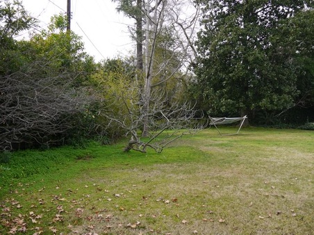 Enlarge photo 42