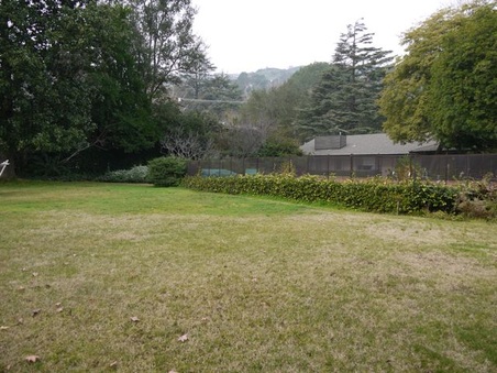 Enlarge photo 43