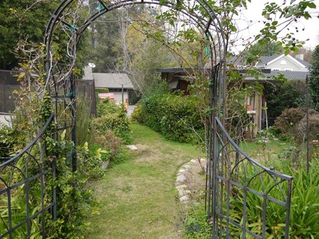 Enlarge photo 45