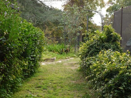 Enlarge photo 46
