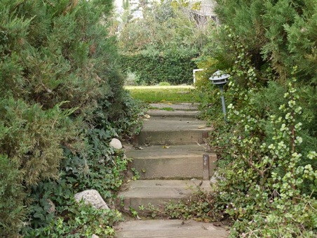 Enlarge photo 48