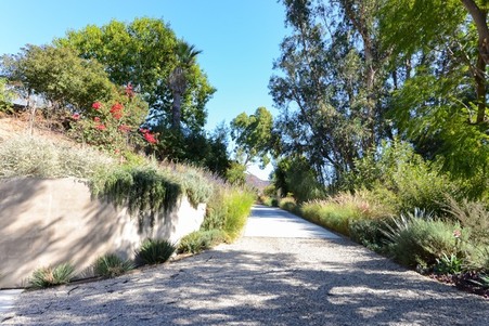 Enlarge photo 62