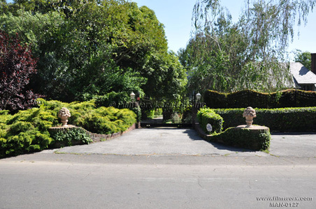 Enlarge photo 27