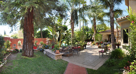 Enlarge photo 60