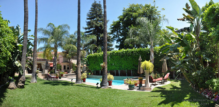 Enlarge photo 62