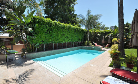 Enlarge photo 65