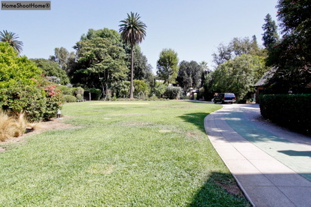 Enlarge photo 62