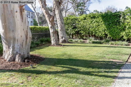 Enlarge photo 57