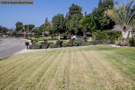Enlarge photo 67