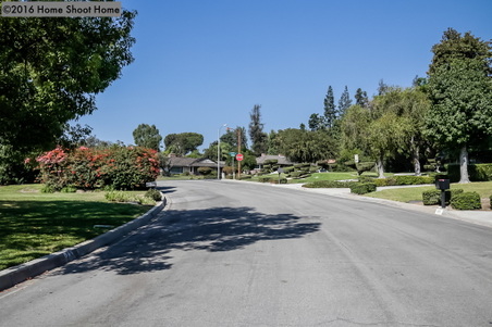 Enlarge photo 74