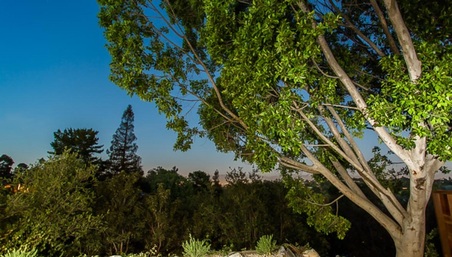 Enlarge photo 32