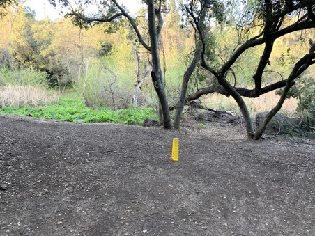 Calimigos Ranch