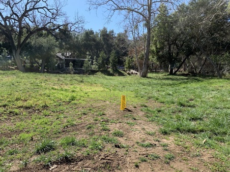 Canyon Ranch 2