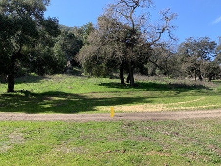 JMJ Ranch 2