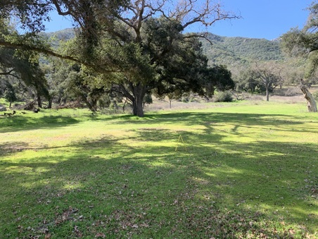 JMJ Ranch 1