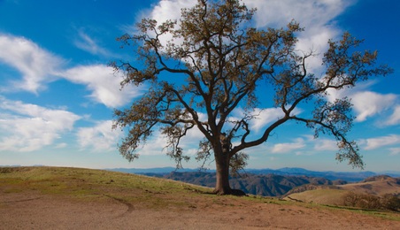 Joughlin Ranch