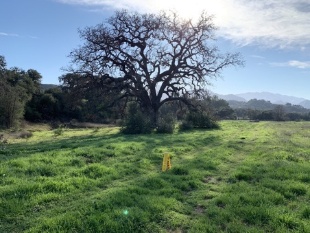 King Gillette Ranch 4