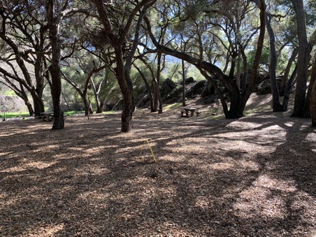 Tapia State Park