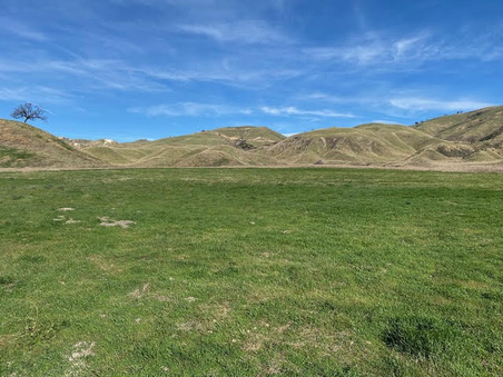 Enlarge photo 32