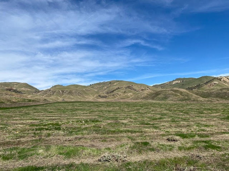 Enlarge photo 34