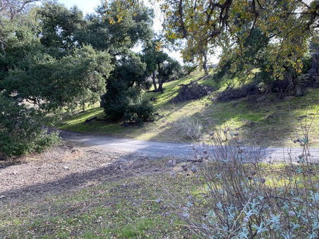 Enlarge photo 35