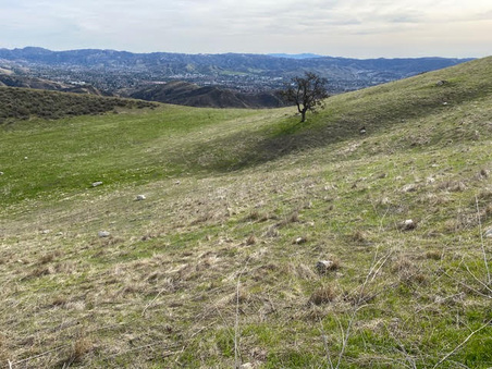 Enlarge photo 40