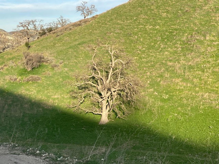Enlarge photo 59