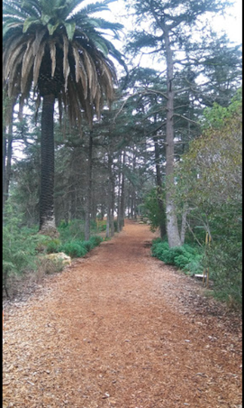Enlarge photo 2