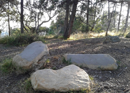 Enlarge photo 5
