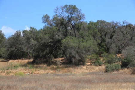 Enlarge photo 7