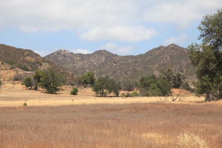 Enlarge photo 10