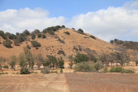 Enlarge photo 11