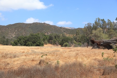 Enlarge photo 18