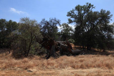 Enlarge photo 23