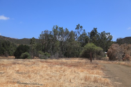 Enlarge photo 25