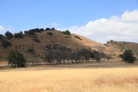 Enlarge photo 27