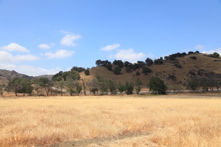 Enlarge photo 28