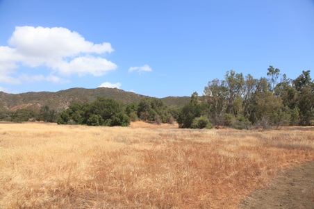 Enlarge photo 32