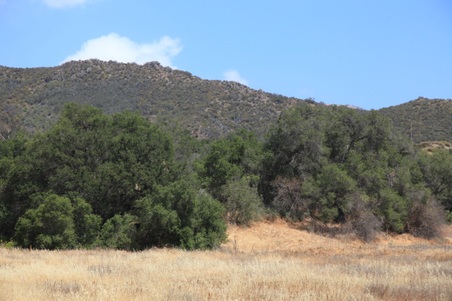 Enlarge photo 33