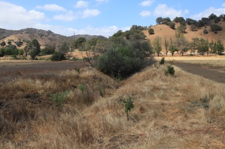 Enlarge photo 36