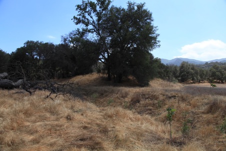 Enlarge photo 38